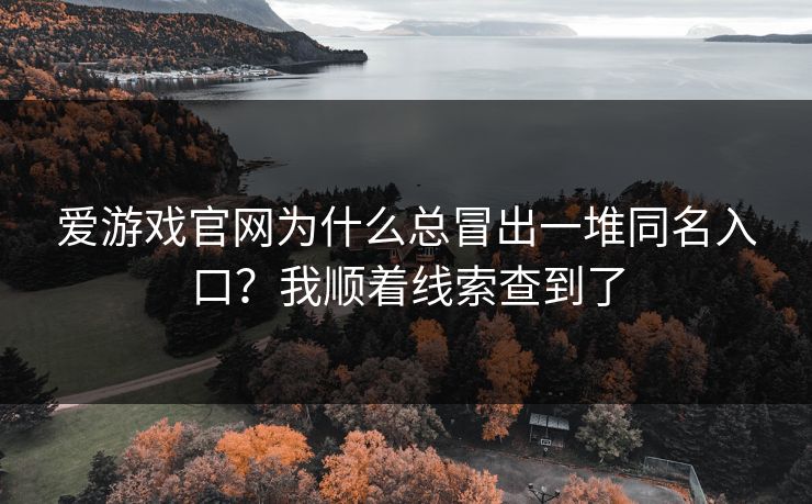 爱游戏官网为什么总冒出一堆同名入口？我顺着线索查到了